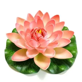 deep-aqua-lilia-do-oczka-wodnego-lososiowa-17cm