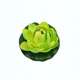 deep-aqua-lilia-do-oczka-wodnego-zielona-10cm