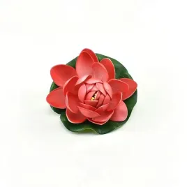 deep-aqua-lilia-do-oczka-wodnego-czerwona-10cm