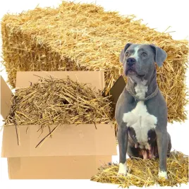 sloma-do-budy-4kg-wysciolka-dla-psa-kota-krolika-kurinka-karton-polowka-xxl