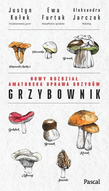 grzybownik-justyn-kolek-stan-nowy