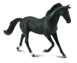 klacz-thooroughbred-masci-czarnej-collecta