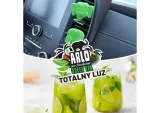 arlo-green-tea-numer-katalogowy-producenta-v89zhe