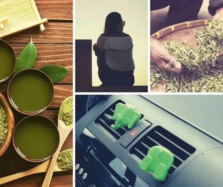arlo-green-tea-producent-k2
