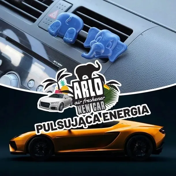 arlo-new-car-stan-nowy