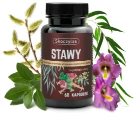 stawy-kadzidlowiec-wierzba-ashwagandha-sosna