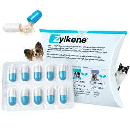 vetoquinol-zylkene-75mg-na-stres-lek-pies-kot-10-kaps