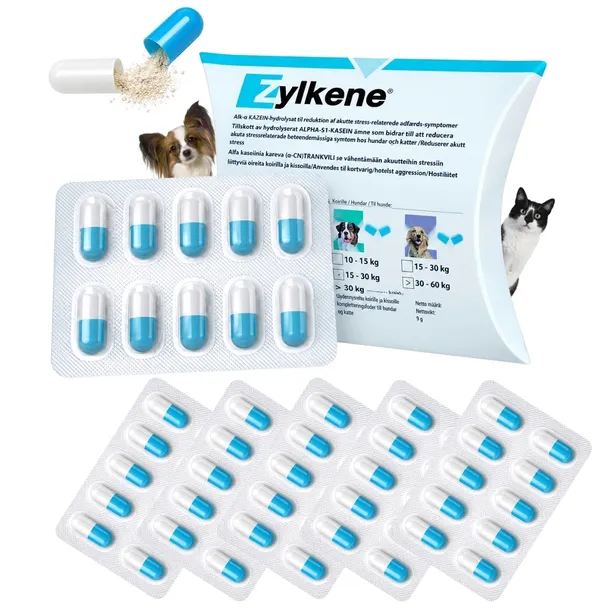 Zylkene 75 mg na stres lęk uspokojenie dla psa i kota do 10 kg 50 kapsułek