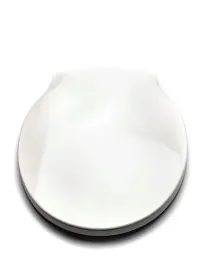 roca-deska-sedesowa-wc-twarda-duroplast-volta-zawiasy-metal-zwykleororyginal