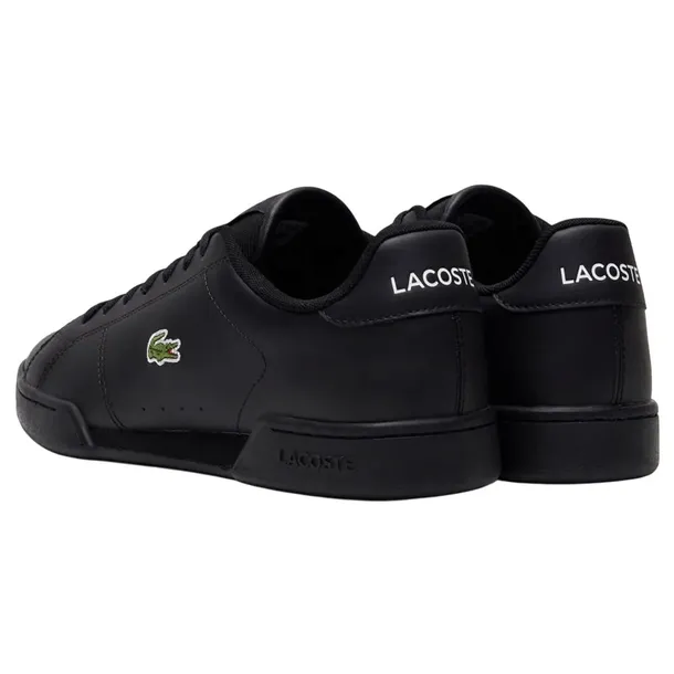 carnaby-cup-marka-lacoste