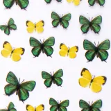 folia-transferowa-spring-100-cm-nr-9-stan-nowy