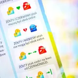 gra-muduko-ptaki-60-zagadek-stan-nowy-nazwa-ptaki-60-zagadek