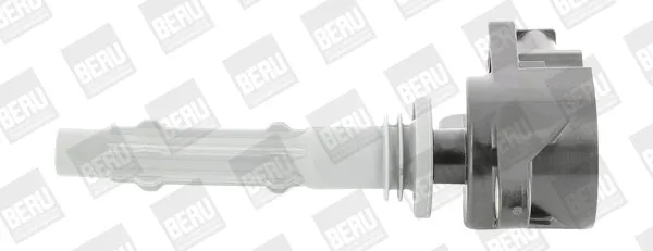cewka-zaplonowa-borgwarner-beru