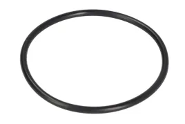 parsun-o-ring-spodziny-jaso-f404-31-065