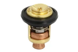 parsun-termostat-srodka-chlodzacego-f15-07000031