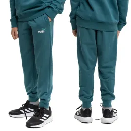 spodnie-dresowe-dzieciece-puma-bawelniane-ze-sciagaczami-roz-164