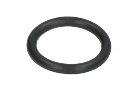 parsun-o-ring-spodziny-jaso-f404-31-025