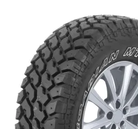 1x-nexen-roadian-mt-31-10-50r15-109q-por