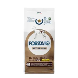 forza10-vet-intestinal-colon-fase-1-jagniecina-10kg-data-31-07-2026