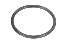 parsun-o-ring-spodziny-pajisb2401p48-jisb2401-p48
