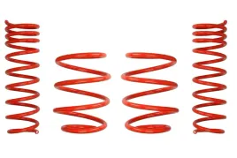 zestaw-zawieszenia-sprezyny-obnizajace-cobra-00-1493-c