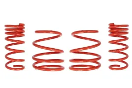 zestaw-zawieszenia-sprezyny-obnizajace-cobra-00-7242-c