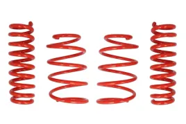 zestaw-zawieszenia-sprezyny-obnizajace-cobra-01-4103-cob