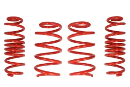 zestaw-zawieszenia-sprezyny-obnizajace-cobra-48-9941-c