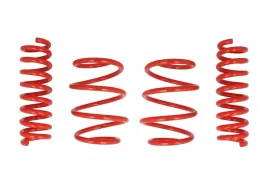 zestaw-zawieszenia-sprezyny-obnizajace-cobra-01-4155-c
