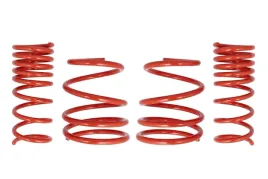 zestaw-zawieszenia-sprezyny-obnizajace-cobra-00-7241-c