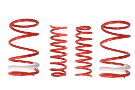 zestaw-zawieszenia-sprezyny-obnizajace-cobra-00-5039-c