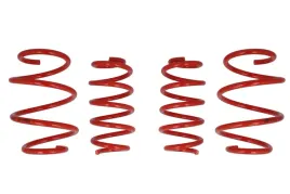 zestaw-zawieszenia-sprezyny-obnizajace-cobra-00-4930-c