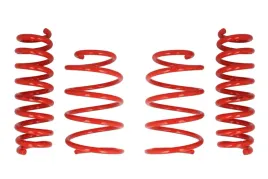 zestaw-zawieszenia-sprezyny-obnizajace-cobra-00-1495-c