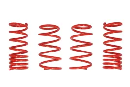 zestaw-zawieszenia-sprezyny-obnizajace-cobra-00-7235-c