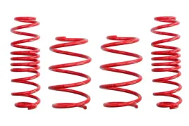 zestaw-zawieszenia-sprezyny-obnizajace-cobra-01-2196-1-c