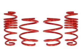 zestaw-zawieszenia-sprezyny-obnizajace-cobra-00-3084-c