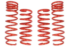 zestaw-zawieszenia-sprezyny-obnizajace-cobra-01-4139-c