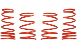 zestaw-zawieszenia-sprezyny-obnizajace-cobra-00-7222-1-c