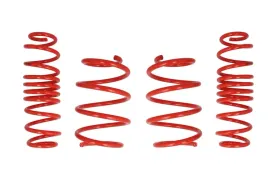 zestaw-zawieszenia-sprezyny-obnizajace-cobra-07-8228-c