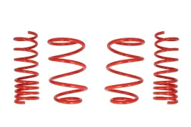 zestaw-zawieszenia-sprezyny-obnizajace-cobra-28-9956-c