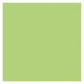 serwetki-papierowe-classic-zielony-33-cm-20-szt