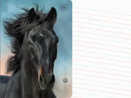 interdruk-zeszyt-a5-linia-dwukolorowa-16-kartek-w-linie-wild-horses-kon