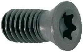 sruba-torx-do-d16-32mm-sr85011-tp15