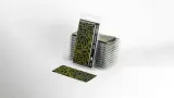 gamers-grass-laser-plants-banana-tree-stan-nowy