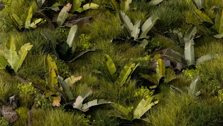 gamers-grass-laser-plants-banana-tree-stan-opakowania-oryginalne