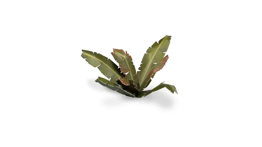 gamers-grass-laser-plants-banana-tree