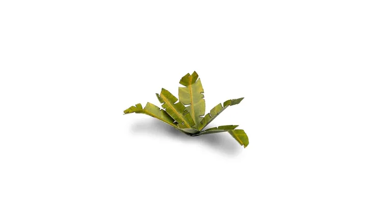 gamers-grass-laser-plants-banana-tree-marka-gamersgrass