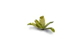 gamers-grass-laser-plants-banana-tree-marka-gamersgrass