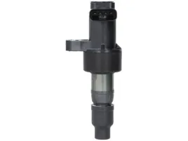 cewka-zaplonowa-ngk-48268