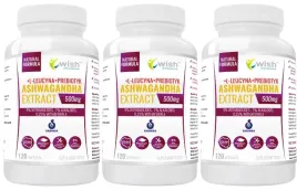 zestaw-3x-wish-ashwagandha-ekstrakt-uklad-nerwowy-pamiec-koncentracja-120k